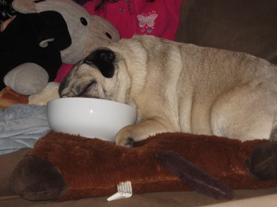 Breakfast in bed