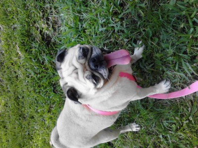 day at the park with family. yippie