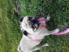 day at the park with family. yippie