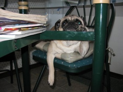Too tired to care