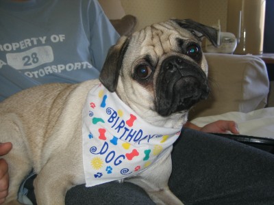 Winston's 1st Birthday