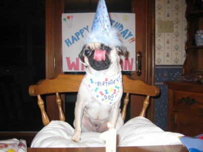 Winston's Birthday