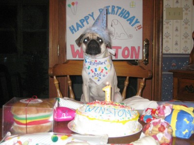 Winston's 1st Birthday