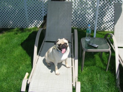 Sluggo in Lawn Chair