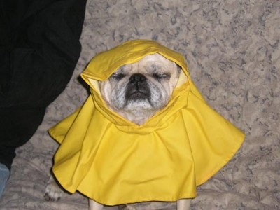 Angel in her rain coat