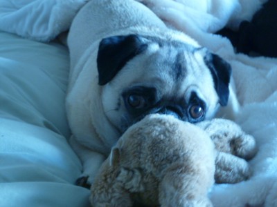 Sophie & her Teddy