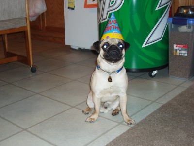 My 1st Birthday