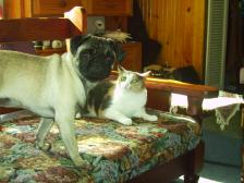 Penny and Katie