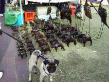 Penny @ the Grahamstown Festival