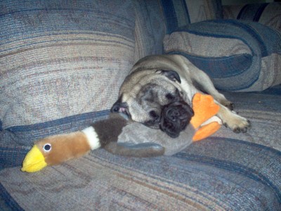 Snooozing!