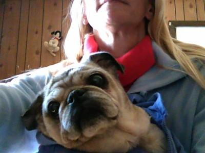 my darla