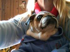 miss darla