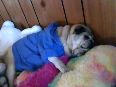 my darla