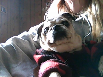 my darla babe