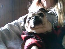 my darla babe