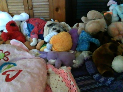 pooped darla
