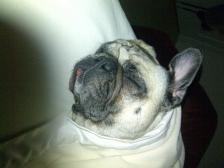 nite nite time in mommy's bed