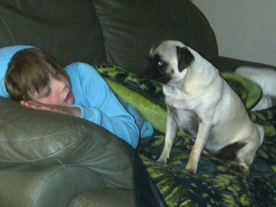 Pleeeze wake up!