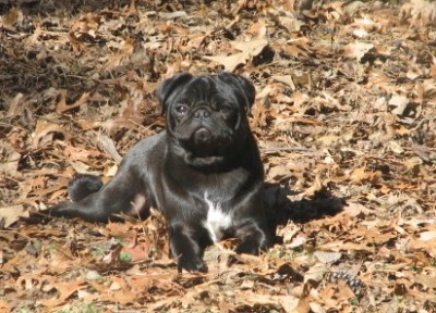 Sunbathing