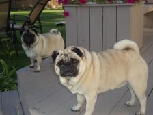 Gracie and Reuben