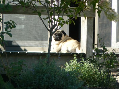 Gracie takin' it easy