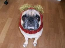 Santiago in His Hat