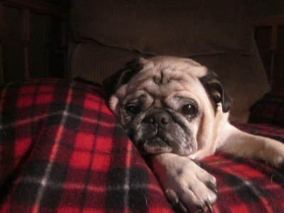 Chillaxing!