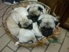 Sleeping