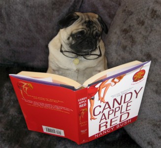 The Binkster reading Candy Apple Red by Nancy Bush