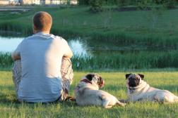 The Boys and I
