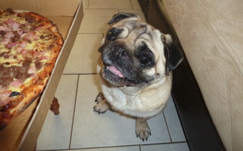 I have a food happy