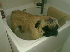 Baff time