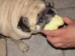 Apple!