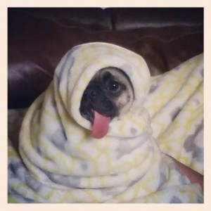 Alex in a Blanket