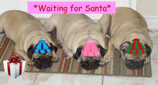 Waiting for Santa