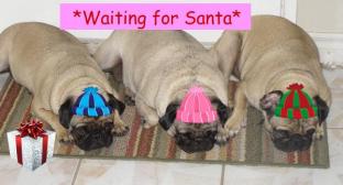 Waiting for Santa