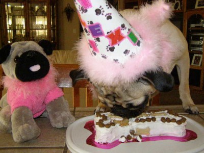 Lexi eating her Birthday Cake!