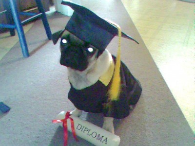 SomePuggy Graduated!