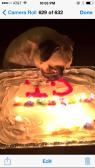 My 1st Birthday
