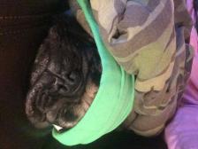Me and my blanky