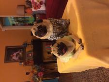 Playing dress up