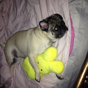 Rocky and his peep