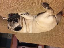 Lazy afternoon