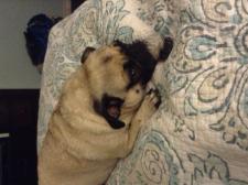 Sleepy head