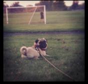 Soccer practice