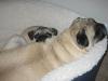 Cuddling
