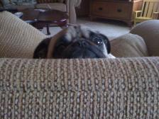 What you lookin at?