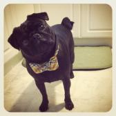 All dressed up