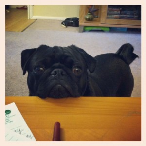 Head rest