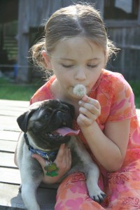 SUMMER DAISY & LILY GIRL